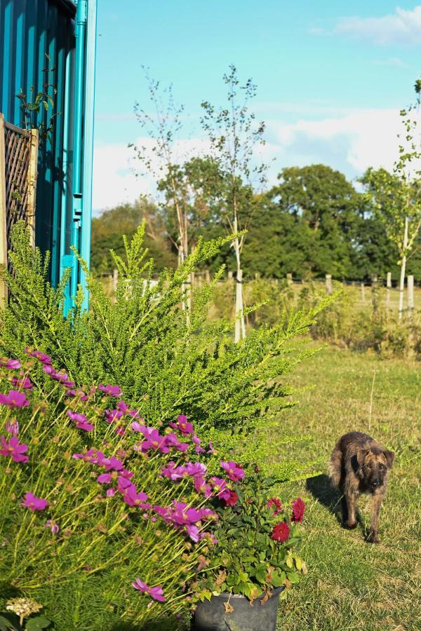 Bluebell Cabin Badsey エクステリア 写真